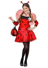 Marienkäfer Kinderkostüm rot-schwarz