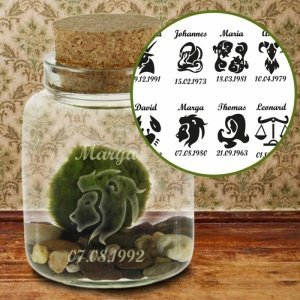 Marimo Mooskugel im Mini Korkenglas