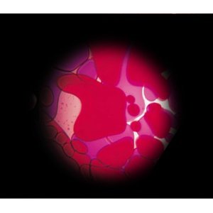 Mathmos Original Ersatzscheibe für Space