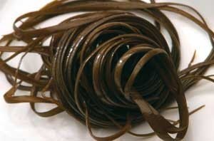 Meeresspaghetti (Himanthalia elongata) S