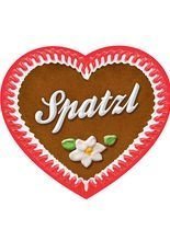 Mei-Schee Trachten Brillenputztuch rot