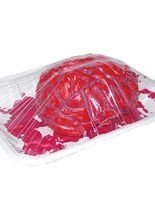 Menschliches Hirn eingeschweißt Deko