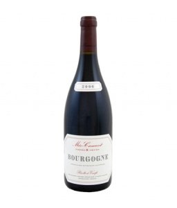 Meo-Camuzet Méo-Camuzet Bourgogne R