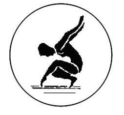 Metallemblem Bodenturnen