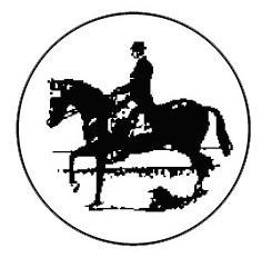 Metallemblem Dressurreiten