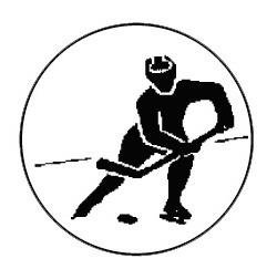 Metallemblem Eishockey