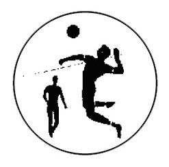 Metallemblem Faustball