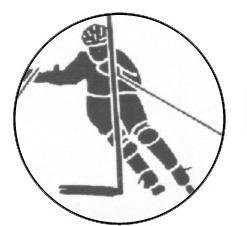 Metallemblem Inline-Slalom