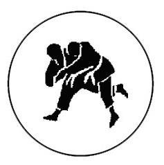 Metallemblem Judo