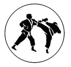 Metallemblem Karate