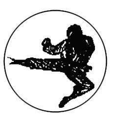Metallemblem Karate