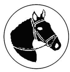 Metallemblem Pferdekopf