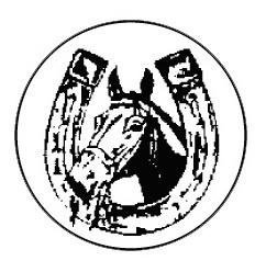 Metallemblem Pferdekopf