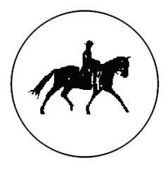 Metallemblem Reiter
