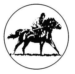 Metallemblem Ringreiten