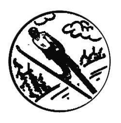 Metallemblem Skispringer