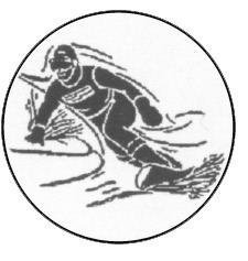 Metallemblem Snowboarder