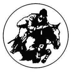 Metallemblem Springreiten