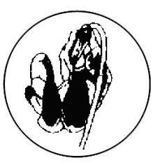 Metallemblem Stabhochsprung Ø 50mm