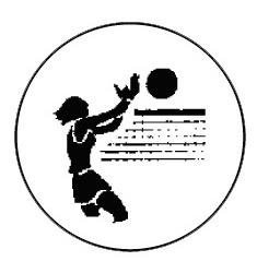 Metallemblem Volleyball Damen