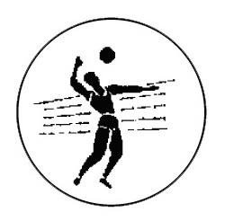 Metallemblem Volleyball Herren