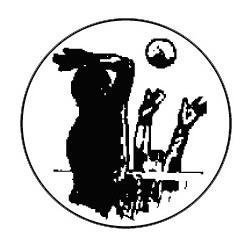 Metallemblem Volleyball Herren