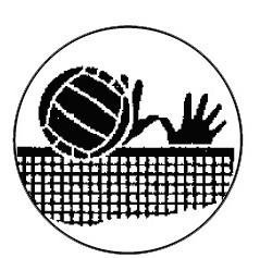 Metallemblem Volleyball