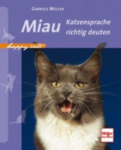 Miau: Katzensprache richtig deuten