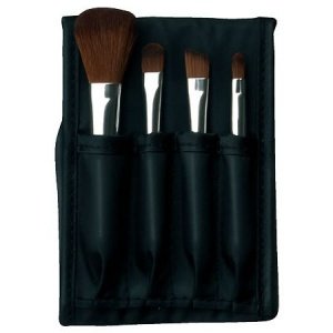 Mini Brush Kit