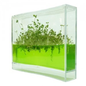 Mini Gewächshaus ´Super Plantarium´