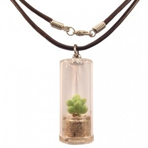 Mini-Pflanze als Kette ToGo