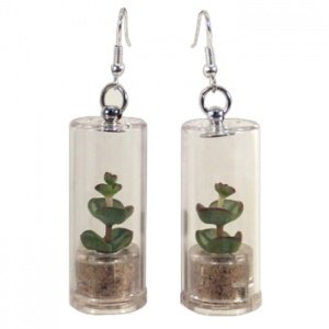 Mini-Pflanzen im Set ToGo