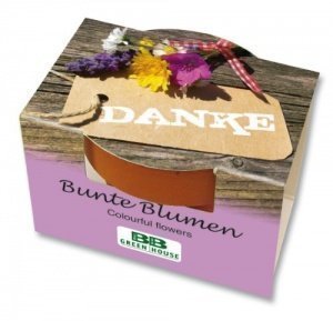 Mini-Pflanzset Danke