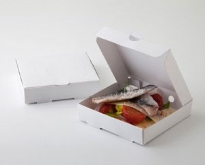 Mini-Pizza-Karton (100 Stk.)