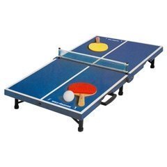 Mini Tischtennisplatte