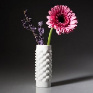 Mini-Vase Vibrations