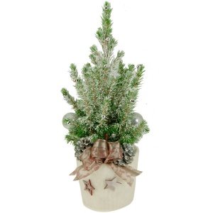 Mini-Weihnachtsbaum Schneezauber (Höhe: 