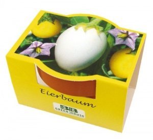 Minipflanzset Eierbaum