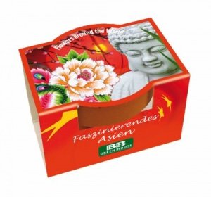 Minipflanzset -Faszinierendes Asien-