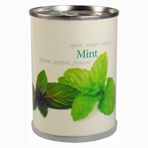 Minze aus der Dose
