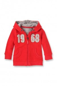 Mit 1968-Patch: Zipp Hoodie