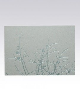 MOTIVPOSTKARTE  ZWEIGE