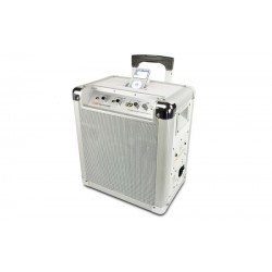 Mobiles iPod Soundsystem mit integrierte