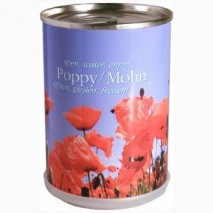 Mohn aus der Dose