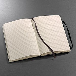 Moleskine Notizbuch A5 kariert