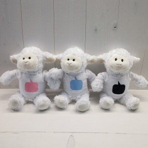 Molly - das Tafelschaf