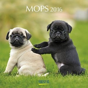 Mops Kalender