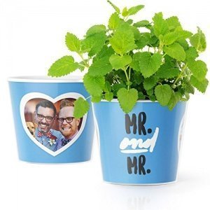 Mr & Mr Blumentopf