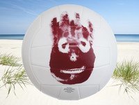 Mr. Wilson Volleyball