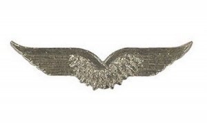 Mützenanstecker Luftwaffe Schwinge